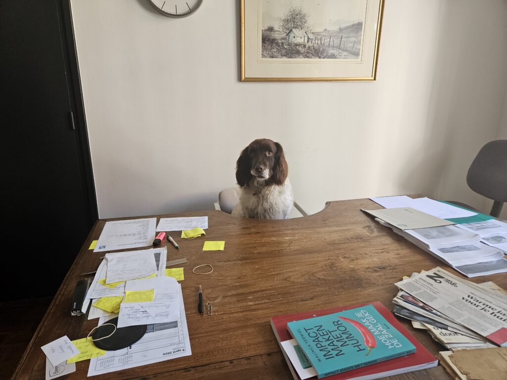 Bas de Hond
